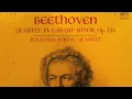 Beethoven String Quartet No.14 in C-sharp minor, Op.131 (6th Movement)