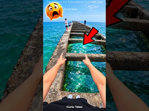Ronaldo Offers ₹5 Lakh for an Antarctic Fish Challenge! 🐟😱#challenge #ytshorts #shortsfeed #shorts