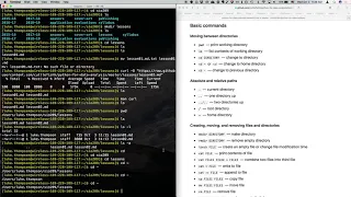 Python for Data Analysis 2018-19 - Lesson 2