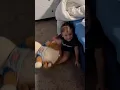 Download Lagu Where’s Rogan?!? 😆 #rogan #toddlers #hidenseek #funny #cute #giggles #smile #shorts