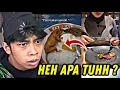 Lagu PRIA PUNYA SELERA 🤣 REACTION VIDEO KOCAK ..