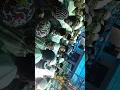 Download Lagu Suasana pemakaman KH.ABDURROHMAN YAYAH gading