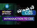 Introduction to CSS Cascading style sheets Internal External Inline CSS in Sinhala