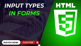 HTML Input Types Attributes Explained Complete Guide for Web Forms