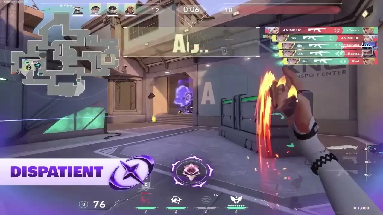 Video
