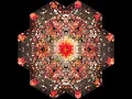 Gold Panda: We Work Nights