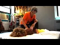 ThaiMassage-NYC