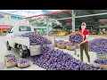 Download Lagu Rewind Timelapse: Harvest Plums by 3-Wheeled Truck, How to Shop in the Supermarket