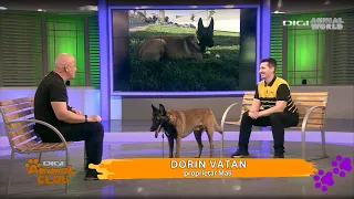 Debutul TV al lui Dorin cu Mali | Prima apariție emoționantă a lui Dorin și Mali - Digi Animal World