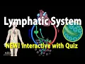 The Lymphatic System - INTERACTIVE with Quiz