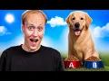 Download Lagu BANKZITTERS LATEN HOND HUN DAG BEPALEN