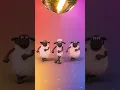 Download Lagu 💃🕺 Disco Dancing Shaun the Sheep #shorts