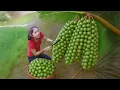 Download Lagu Harvesting Fresh Sugar Palm Fruit In The Rainforest To Sell At The Market | Emma - Free Bushcraft