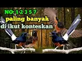 Download Lagu Jenis Jenis Murai Batu di Indonesia | paling banyak dicari