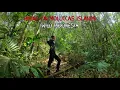 Download Lagu Hiking a mountain through the wild jungles | Tidore island. North Moluccas