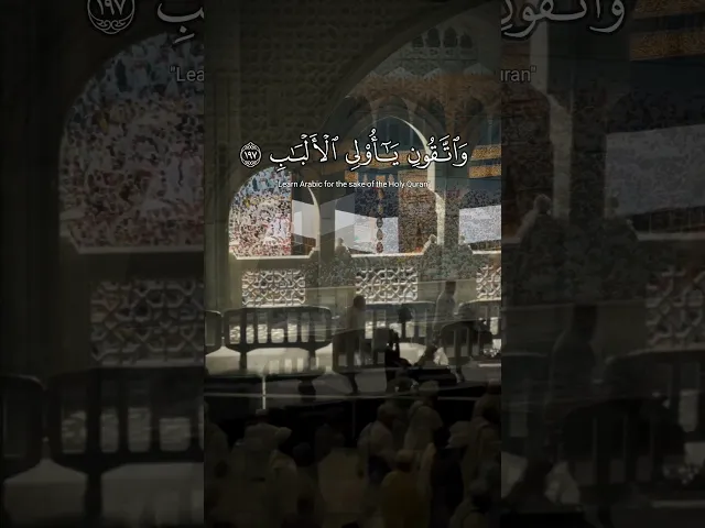 ⁣ٱلۡحَجُّ أَشۡهُرࣱ مَّعۡلُومَـٰتࣱۚ فَمَن فَرَضَ فِیهِنَّ ٱلۡحَجَّ فَلَا .. || الشيخ علاء المزجاجي