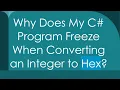 Why Does My C Program Freeze When Converting an Integer to Hex