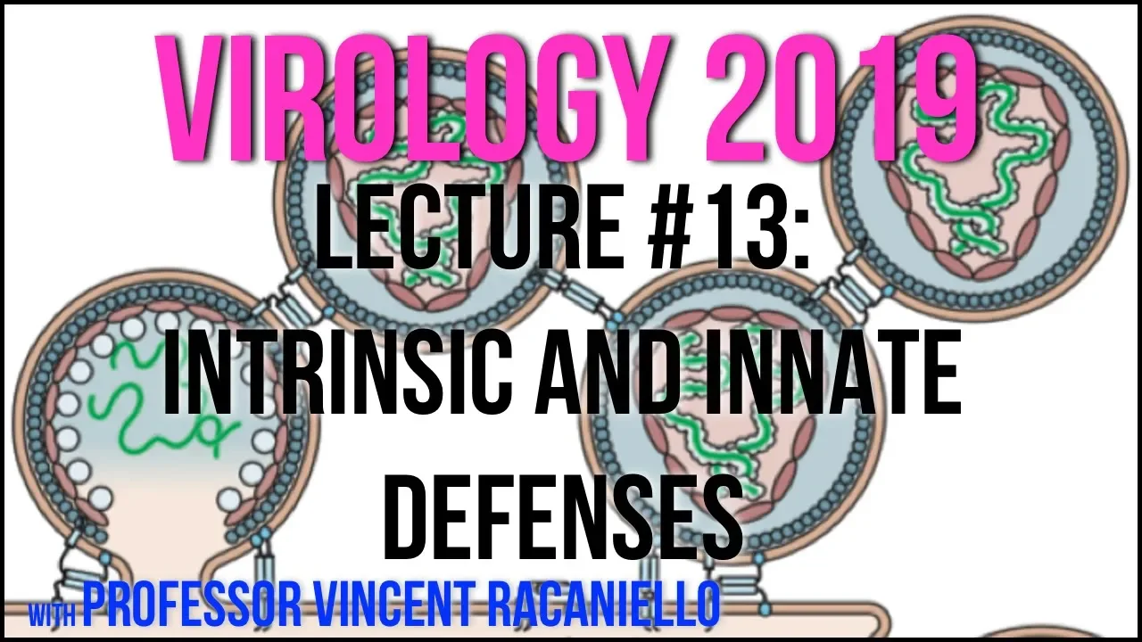 Virology Lectures 2019 #13: Intrinsic and Innate Defenses