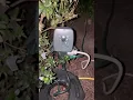 Fix Westinghouse Outdoor Lights Remote