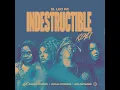 Indestructible (Remix) - El Leo Pa', Anmily Brown, Oveja Cosmica & Ada Betsabe