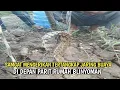 Download Lagu RUPANYA DI DEPAN RUMAH BLI ADA BUAYA TERTANGKAP JARING CERITA BLI NYOMAN 