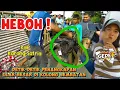 Download Lagu HEBOH ‼️ DETIK-DETIK PENANGKAPAN ULAR SANCA DI KOLONG JEMBATAN KALI KARANG SATRIA 