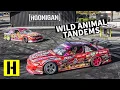 Download Lagu Animal Style Blows Our Minds by Crushing the First Burnyard Tandems