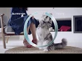 Lagu PURINA ONE® | Mixed Feeding | Adult (15 sec)