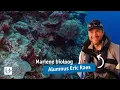 Alumnus in de kijker: Eric Raes, mariene bioloog