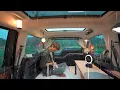 Download Lagu Kamperen in de regen met een schattige kleine puppy