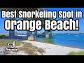 Best Snorkeling Spot in Orange Beach Alabama