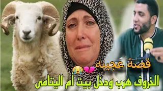 قصة عجيبة عن الرزق الخروف هرب من صاحبه ودخل بيت اليتامي أعجب قصة عن جبر الخواطر للشيخ محمد صبره 