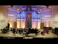 Download Lagu Bach BWV 208 Schafe können sicher weiden Mikitka Pylatyuk Karpyak