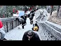 Download Lagu The little dog used all her strength to climb the mountain, but was cruelly pushed down steep steps.