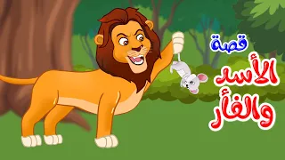 زاد الحكايا قصص اطفال قصص قبل النوم الأسد والفأر 
