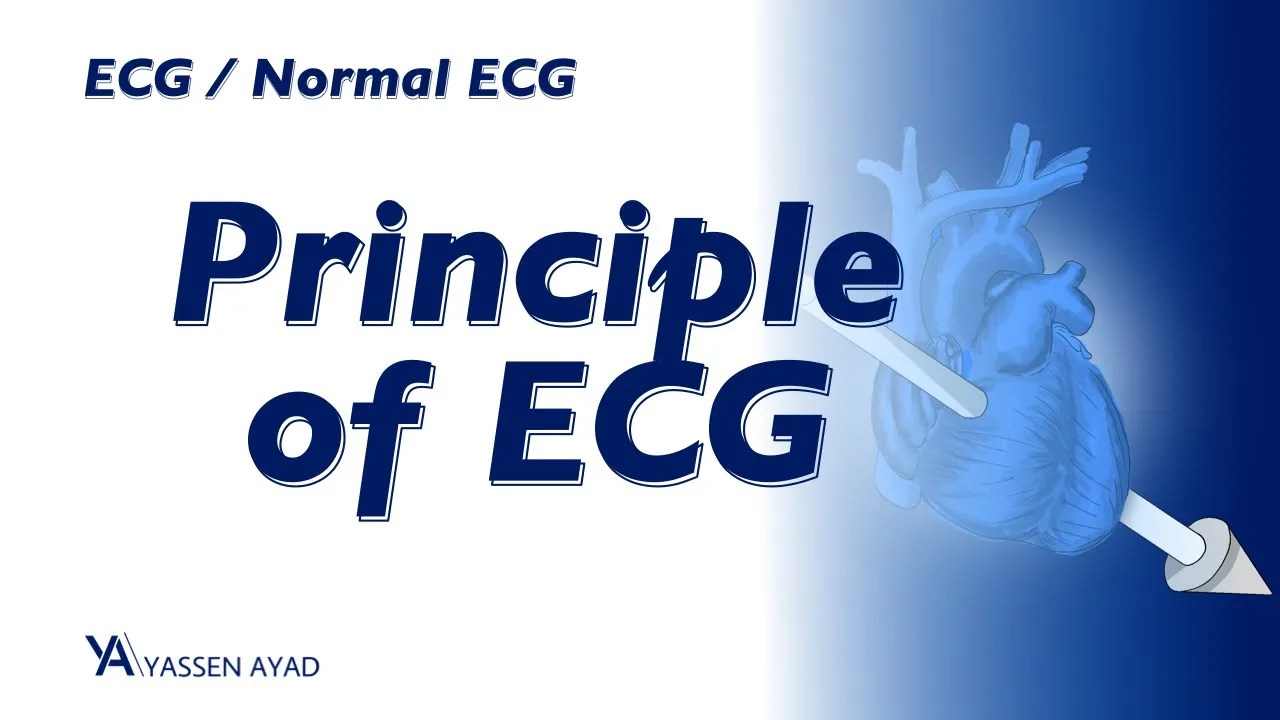 ECG 1 | principle of ECG