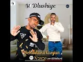 SEHLUKANA KANJANI (feat. Nzuzo wezihlabani)