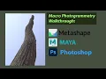 Photogrammetry Tileable Tree Bark material - Complete Workflow