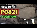P0821 P0821 Gear Lever X Position Circuit code p0821 p0821 obd2 dtc p0821