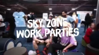Sky Zone Work Functions