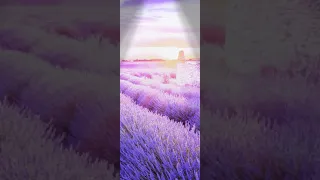 موال   ادعولي في الحرم    النسخة الأصلية                                 في المحتوي الرائج للموسيقي دندنها