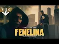 Download Lagu ELINEL X LEDRI VULA - FENELINA (Official Video)