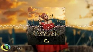 paige oxygen feat dr malinga official audio 