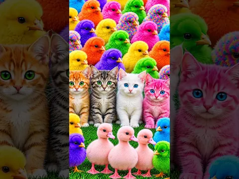 Tangkap Ayam Lucu, ayam warna warni, ayam rainbow, kelinci lucu, bebek lucu, ikan koi, Hewan Lucu