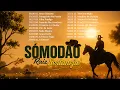Download Lagu 2025 MODÃO DAS ANTIGAS - AS MELHORES | SERTANEJO RAIZ | MODA DE VIOLA