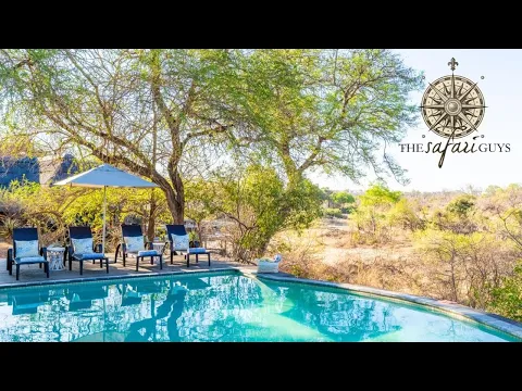 Download MP3 Thornybush Game Lodge | Limpopo, South Africa