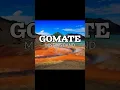 Download Lagu Gomate - Mistops Band (PNG Oldies Music)