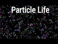 Particle Life Large scale simulation
