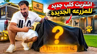 اشتريت كلب جديد للمزرعه.. بس محدش هتيوقع هوا ايه؟😱