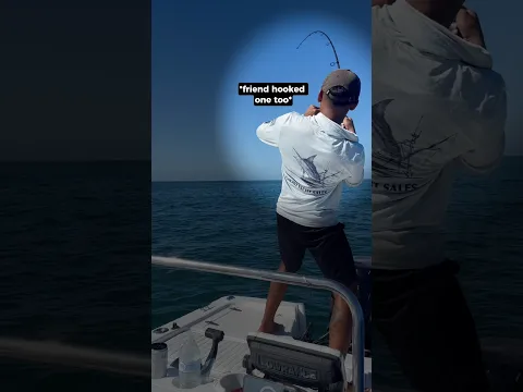 Double hook-up on a monster fish goes completely wrong! ππ